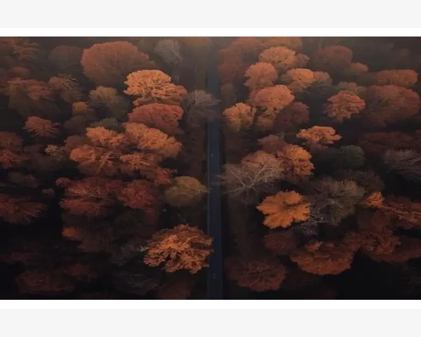儿童脾胃不和的形成原因及调理方法