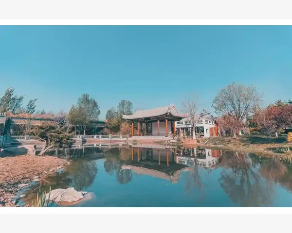 儿童脾胃不和贴调理：科学认知与实践建议